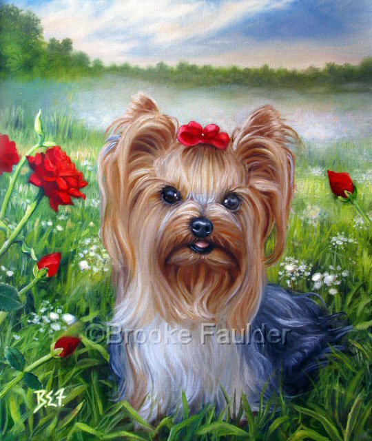 Yorkisire Terrier Dogs Oil Paintings Yorkisire Terrier Dogs Oil Paintings
