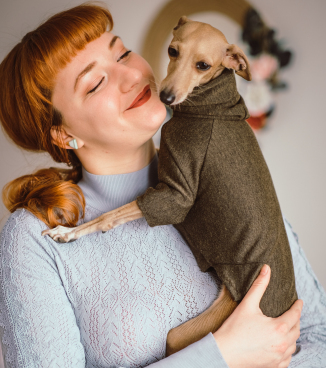 Italian Greyhound Italian Greyhound