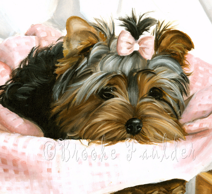 Yorkies