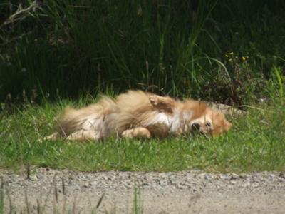 Rollin rollin rollin.