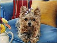 Doggie Diva yorkies, painting, art, puppy, Brooke Faulder