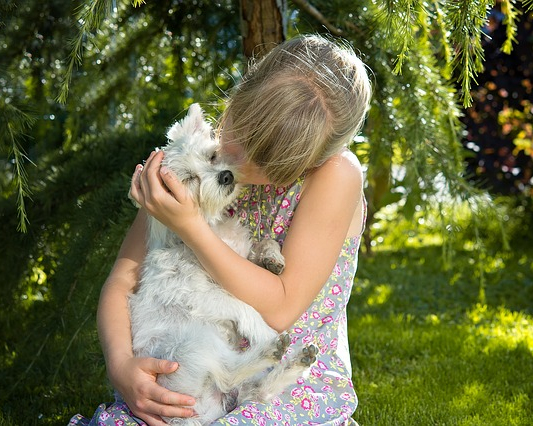girl holding a westie girl holding a westie