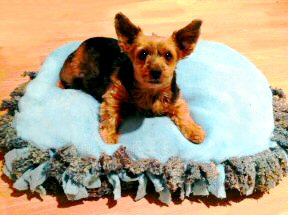 how to make your own dog bed, cheap dog beds, diy dog beds, dog beds, no sew dog beds, free dog beds, orthopedic dog bed