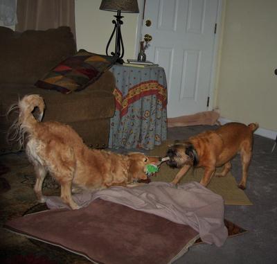 Sam and Annie at tug-o-war play