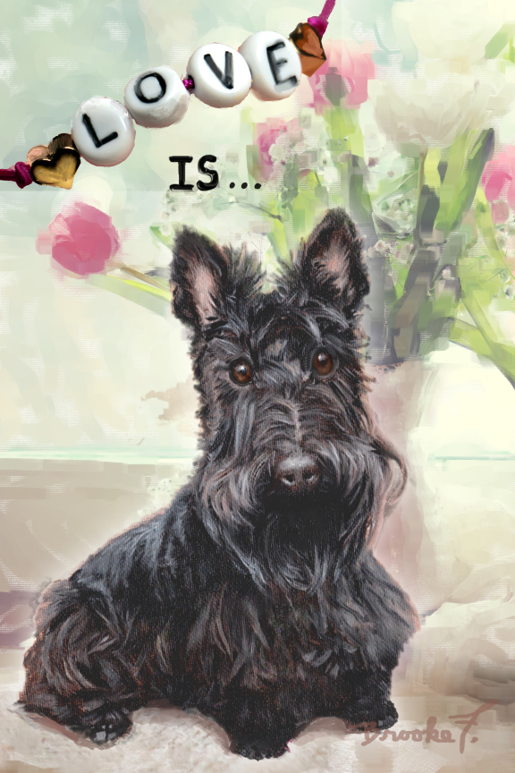 are scottish terriers the breed for you