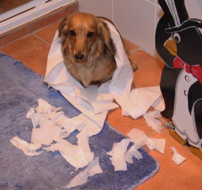 Caught in the Act !!!