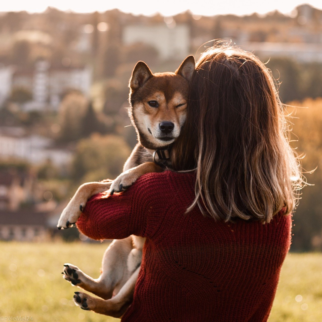 dog lover