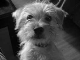 Tanner Posing for a photo